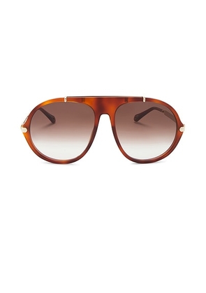 Chloe Aly Round Sunglasses in Havana & Brown - Brown. Size all.