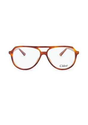 Chloe Judy Pilot Optical Eyeglasses in Havana & Transparent - Brown. Size all.