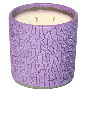 Houseplant Crackle Candle in Purple - Purple. Size all.