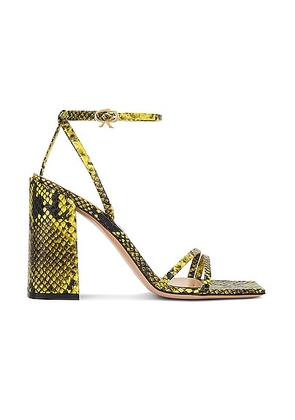 Gianvito Rossi Borneo Sandal in Pistacchio - Green. Size 41 (also in ).