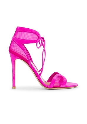 Gianvito Rossi Tie Sandal in Bloom - Fuchsia. Size 38 (also in 38.5, 41).