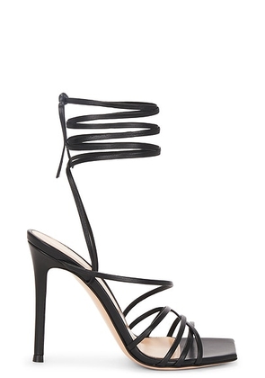 Gianvito Rossi Wrap Sandal in Black - Black. Size 36 (also in 40, 41).