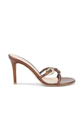 Gianvito Rossi Mule Sandal in Chocolate - Chocolate. Size 36 (also in 37, 37.5, 38.5, 39, 39.5, 40).