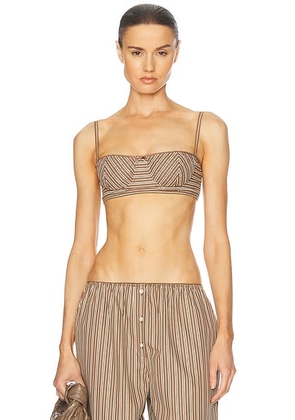 Helsa Pinstripe Poplin Bra in Brown & Cream Stripe - Brown. Size L (also in M, S, XL, XS, XXS).