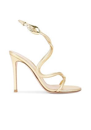 Gianvito Rossi Ankle Strap Sandal in Mekong & Transparent - Metallic Gold. Size 36 (also in 36.5, 37.5, 38.5, 39).