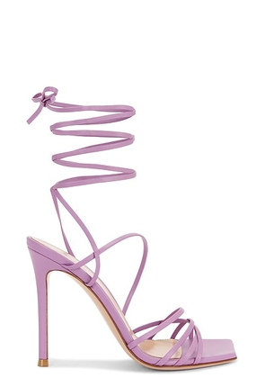 Gianvito Rossi Nappa Strappy Sandal in Melrose - Pink. Size 36 (also in 39.5, 40, 41).