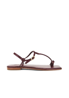 Johanna Ortiz Charted Dream Flats in Pinot Wine - Wine. Size 36 (also in 37).