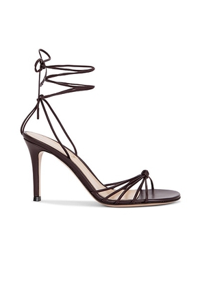 Gianvito Rossi Strappy Heeled Sandal in Bourgogne - Burgundy. Size 36 (also in 36.5, 38, 38.5).