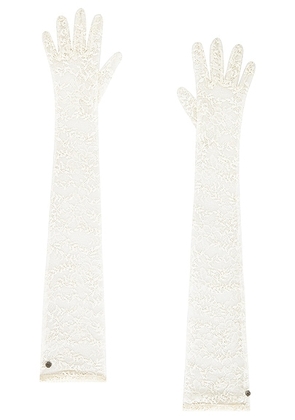 HANDSOME STOCKHOLM Lace Extra Long Gloves in Ivory - Ivory. Size M-L (also in XS-S).