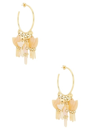 Isabel Marant Large Hoops in Lotus - Metallic Gold. Size all.
