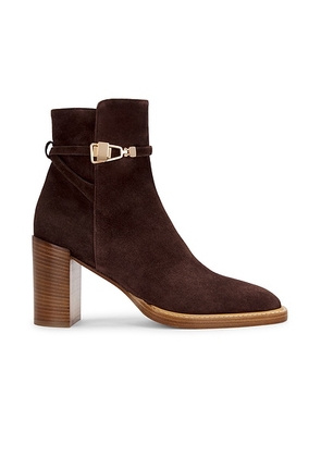 Gabriela Hearst Nina Clasp Ankle Boot in Dark Chocolate - Chocolate. Size 36.5 (also in 37, 38.5, 39, 39.5, 40).