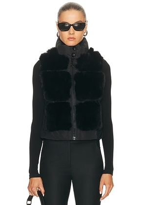 Goldbergh Chic Bodywarmer in Black - Black. Size 34 (also in 36, 38, 42).