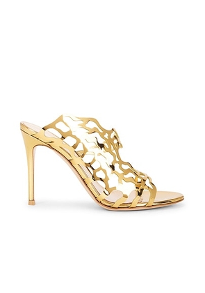 Gianvito Rossi Mule Sandal in Mekong - Metallic Gold. Size 36 (also in 37, 37.5, 38.5, 39, 39.5, 40).
