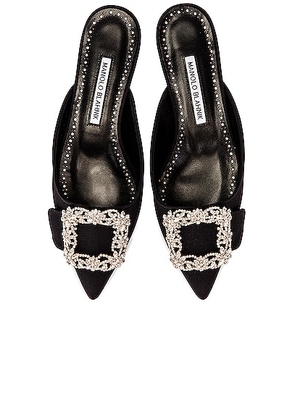 Manolo Blahnik Maysale 10 Jewel Mule in Black - Black. Size 34.5 (also in 35, 35.5, 36, 36.5, 37).