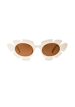 Loewe Paula's Ibiza Flower Sunglasses in White & Brown - Ivory. Size all.
