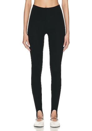 LESET Rio Stirrup Pant in Black - Black. Size L (also in ).