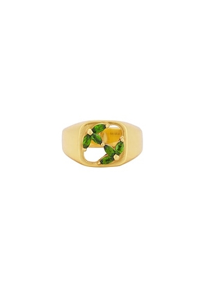 MAPLE 3am Signet Ring in 14K Gold Plated - Metallic Gold. Size 10 (also in 11, 9).