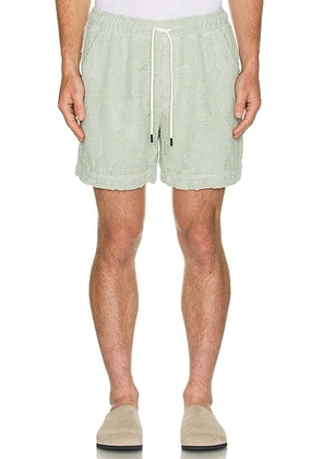 OAS Galbanum Crochet Short in Sage - Green. Size XL/1X (also in ).