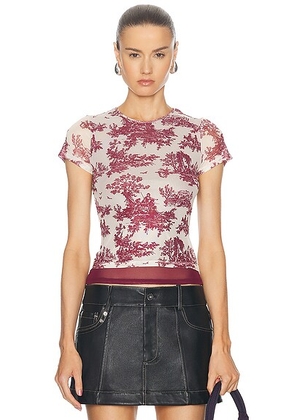 Miaou Mini Tee in Maroon Toile - Burgundy. Size XXS (also in ).