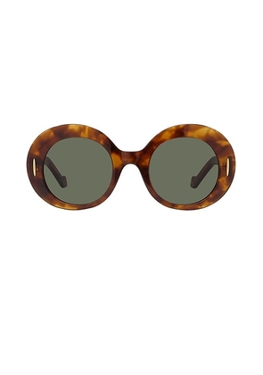 Loewe Round Sunglasses in Blonde Havana & Green - Brown. Size all.