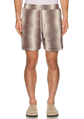 OAS Merlot Echo Net Shorts in Red - Burgundy. Size L (also in M, S).