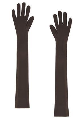 Norma Kamali Long Gloves in Espresso - Chocolate. Size M-L (also in ).