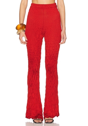 Maygel Coronel Nafplio Pant in Red - Red. Size all.