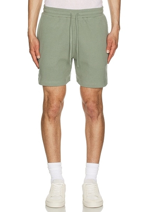 Onia Macro Waffle Pull-on Short 6 in Sage - Sage. Size XL/1X (also in ).