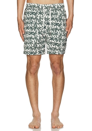 Onia Charles 7 Swim Trunk in Off White & Dark Olive - Olive. Size XL/1X (also in ).
