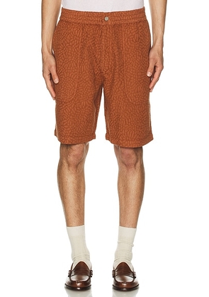 OAS Terracotta Turleo Nico Shorts in Red - Rust. Size XL/1X (also in ).