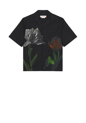 Marni Shirt in Black - Black. Size 46 (also in 48, 50, 52).