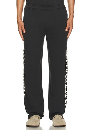 Museum of Peace and Quiet Naturalist Sweatpants in Black - Black. Size L (also in M, S, XL/1X, XS).