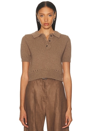 MATTHEW BRUCH Eyelet Trim Knit Polo Top in Brown - Brown. Size XS (also in ).