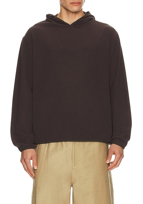 Le17Septembre Waffle Knit Pullover Hoodie in Brown - Brown. Size 46 (also in 50).