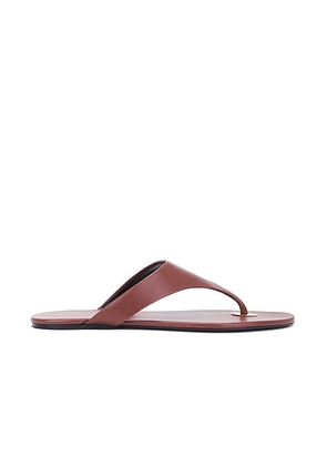 Saint Laurent Kouros Flat Sandal in Cigar in Aesthetic Brown - Brown. Size 36 (also in 37.5, 38).