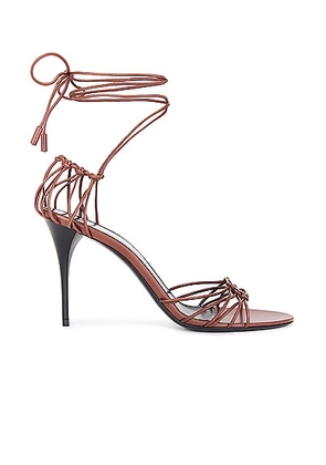 Saint Laurent Babylone Sandal in Aesthetic Brown - Brown. Size 37 (also in ).