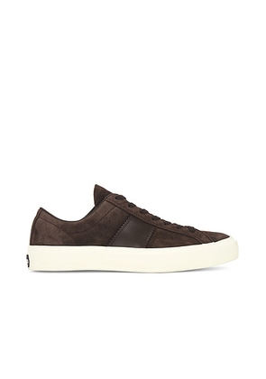 TOM FORD Suede Cambridge Sneaker in Mocha & Cream - Brown. Size 9.5 (also in ).