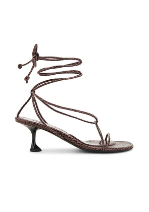 Proenza Schouler Tee Sandal in Chocolate - Chocolate. Size 36 (also in ).