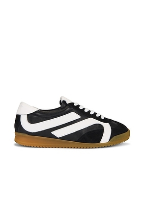Proenza Schouler Track Sneaker in Black & White - Black,White. Size 37 (also in 38.5).