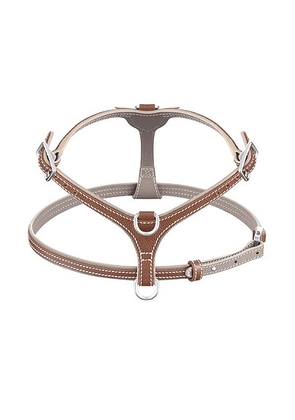 PAGERIE The Petite Small Harness in Walnut - Brown. Size all.
