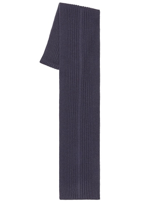 Rag & Bone Max Scarf in Ombre - Blue. Size all.