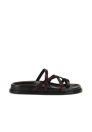 Saint Laurent Mathis Flat Sandal in Ultra Dark Brown - Chocolate. Size 42 (also in ).