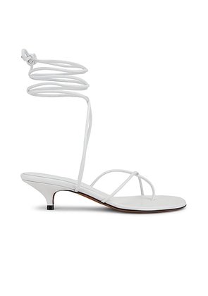 Proenza Schouler Slash Tie Sandal in White - White. Size 36 (also in 36.5, 37, 39.5, 40).