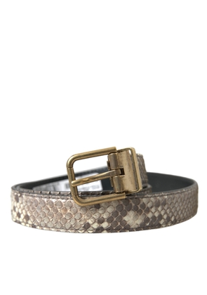 Dolce & Gabbana Brown Python Leather Gold Metal Buckle Belt - 80 cm / 32 Inches