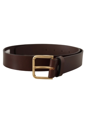 Dolce & gabbana Brown Plain Calf Leather Gold Tone Buckle Belt - 90 cm / 36 Inches