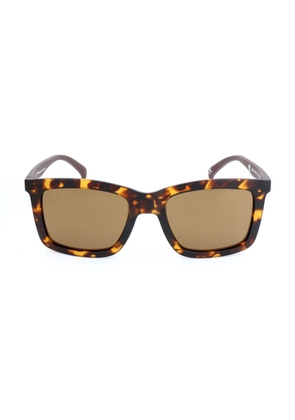 Brown Acetate Sunglasses