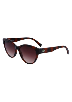 Brown Injected Sunglasses