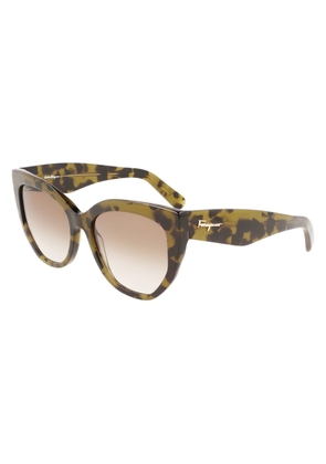 Brown Acetate Sunglasses