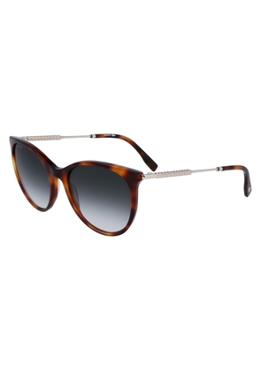 Lacoste Brown Acetate Sunglasses