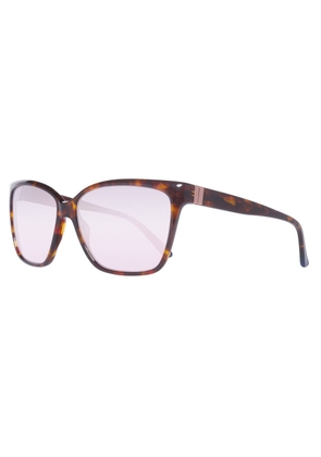 Brown Acetate Sunglasses